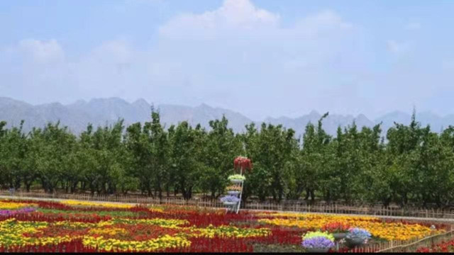 包头旅游攻略 | 草原休闲之都包头大雁滩!