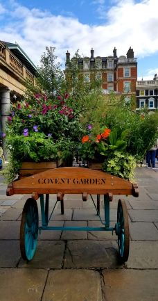 新考文特花园市场-伦敦-多多