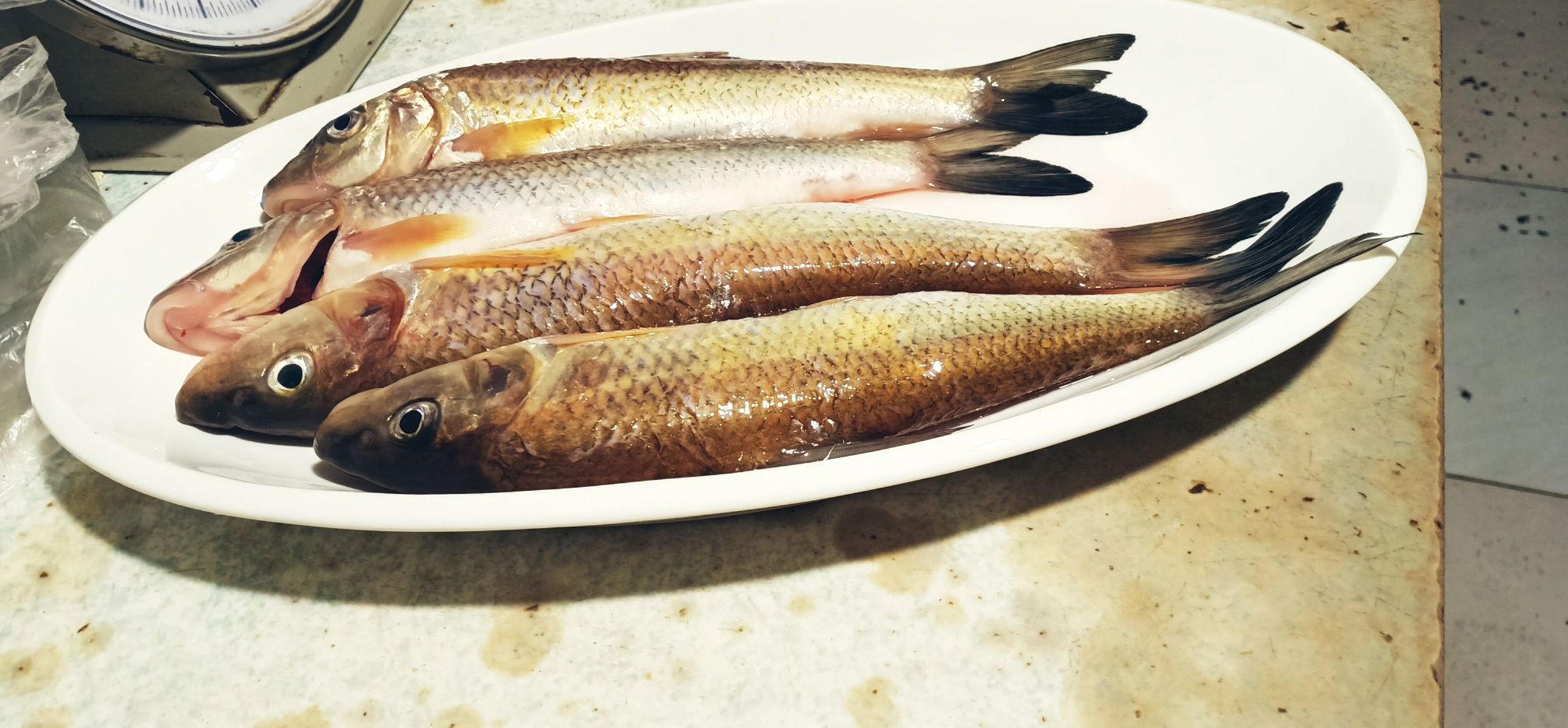 随缘酒楼餐厅图片