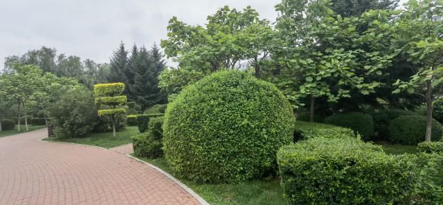 德惠公园旅行图片 3