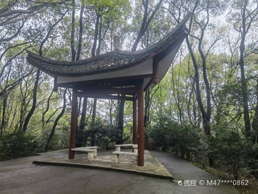 河洑国家森林公园