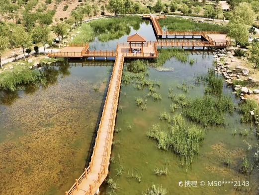 沙坑公园