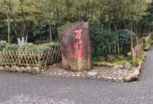 百竹园景点图片