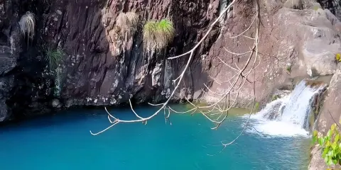 福建甯德周寧蝙蝠洞