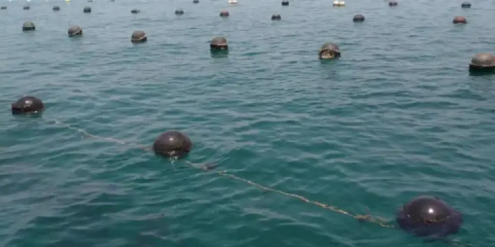 東平珍珠養殖場