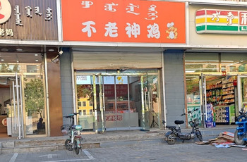 Gallery 4
