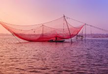 中国渔网景点图片