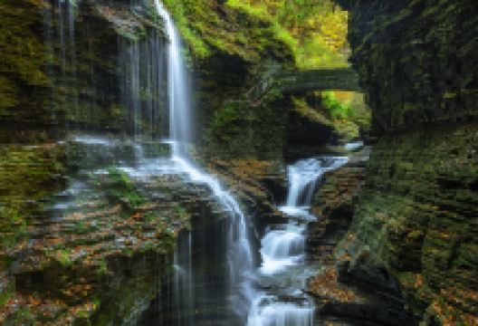 瓦特金斯格伦州立公园景点图片