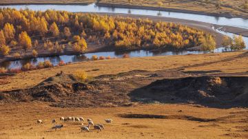 Inner Mongolia Ergun National Wetland Park