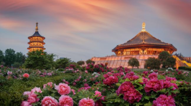 隋唐洛阳城明堂天堂景区