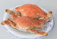 川海人家海鲜排档1号(莲花路店)美食图片