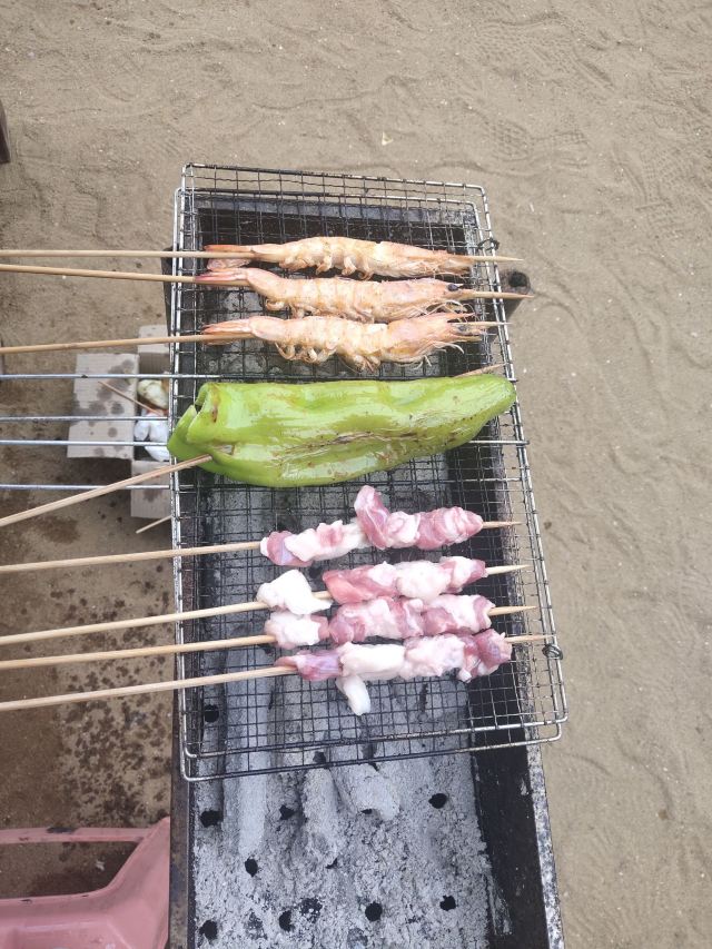 夏家河子海滨景区旅行图片 2