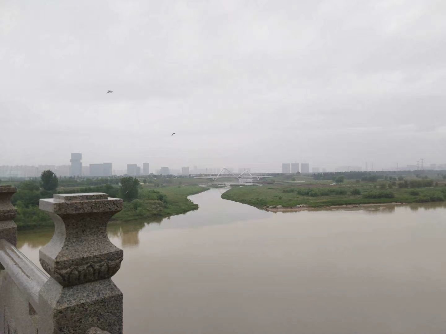 高陵泾渭湿地观光园