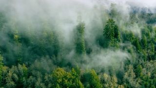 通知 ｜ 毕棚沟旅游景区将于本周三恢复开园！