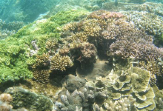 大师潜水中心购物图片