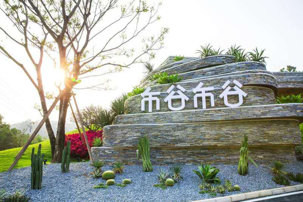 网红元素全都有!厦门西布谷布谷滑滑梯圣地硬核指南!