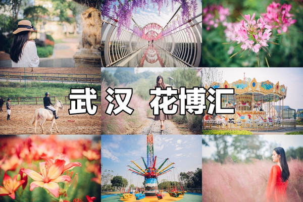 邂逅秋日武汉花博汇,与粉黛乱子来场浪漫约会