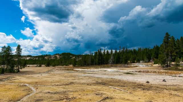 4-Day Yellowstone National Park Tour from Salt Lake City·Grand Teton, Norris Geyser Basin and West Yellowstone