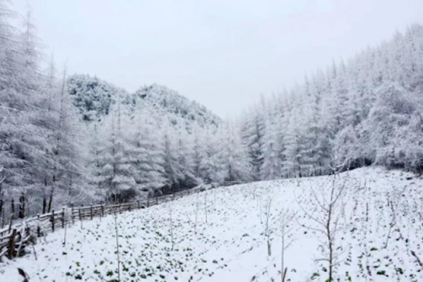 冬季旅游攻略朝天曾家山冰雪节(住宿篇)