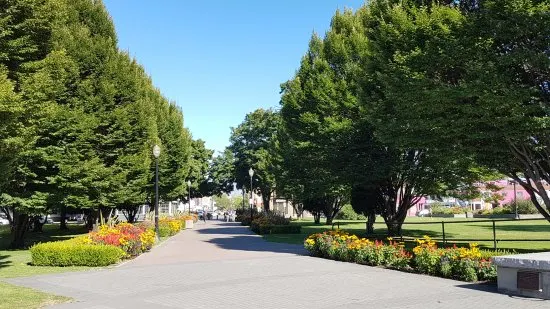 城市公園
