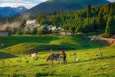 腾格里沙漠-中卫-YoYo_2T8E3R8K