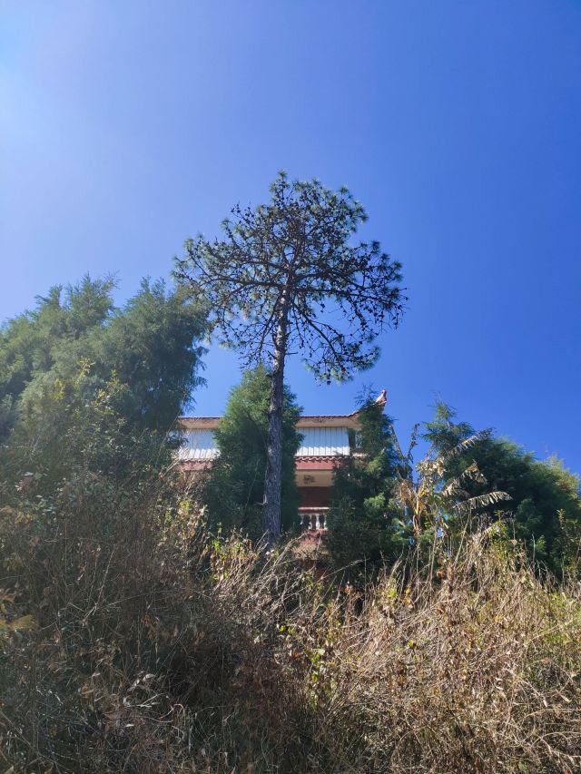 宝鼎生态旅游景区旅行图片 3
