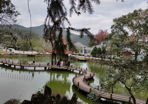 将乐游记图文-天阶山，游者知洞不知峰——福建7日（16）