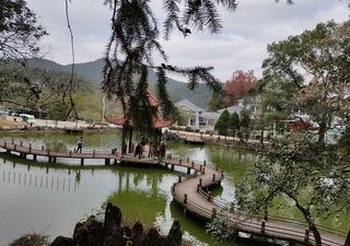 天阶山,游者知洞不知峰——福建7日(16)