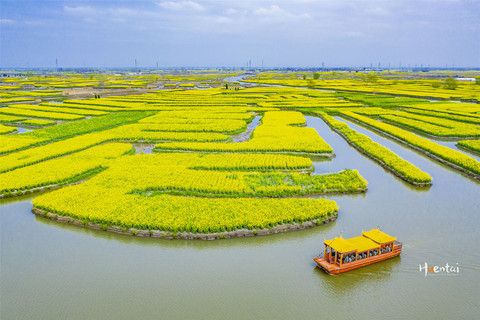 春日里奔赴兴化，只为“全球四大花海”中的那抹黄- 兴化游记攻略【携程攻略】