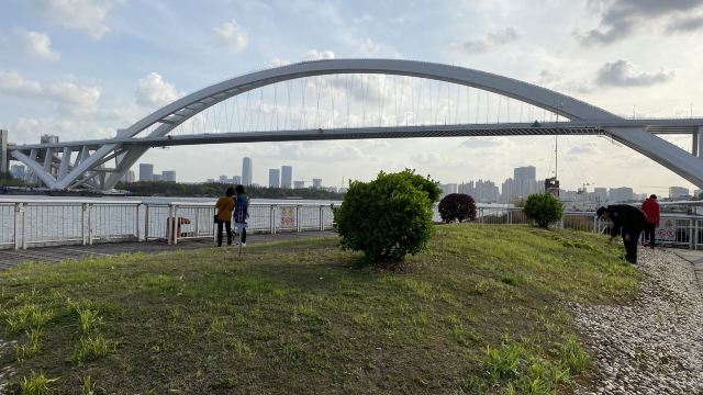 上海市滨江滑板公园旅行图片 3