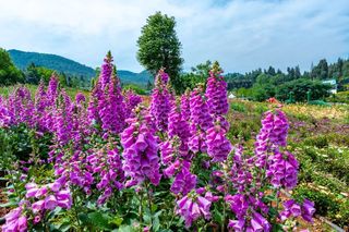 五一攻略|放假怎么玩?昆明周边的亲子家庭狂欢地,又野又上头