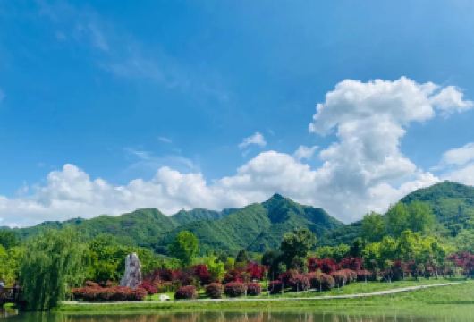 秦岭国家植物园+秦岭四宝科学公园一日游西安周边亲子游【秦岭山下，西安周边亲子游推荐，看网红熊猫7仔，逛秦岭国家植物园】