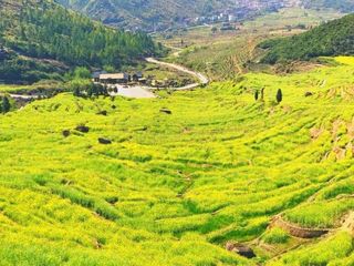 寻找星辰之旅——葛源