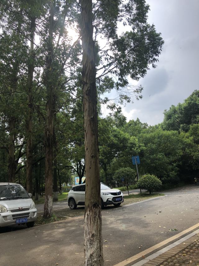 南湖景区旅行图片 2