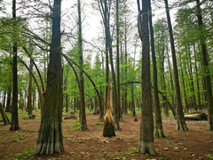 慈溪游记图片] 宁波五星壕游三日二晚