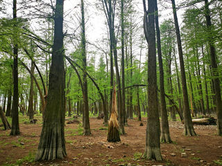 宁波五星壕游三日二晚