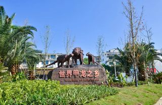 来缙云，带你体验不一样的山川湖海!