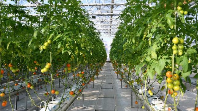 上饶云谷田园生态小镇