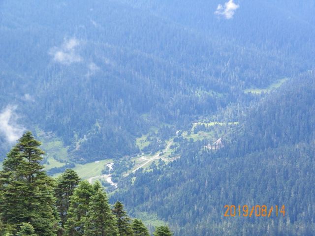 鲁朗林海风景区旅行图片 2