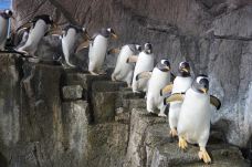 海滨城浩海立方海洋公园-成都-C-IMAGE