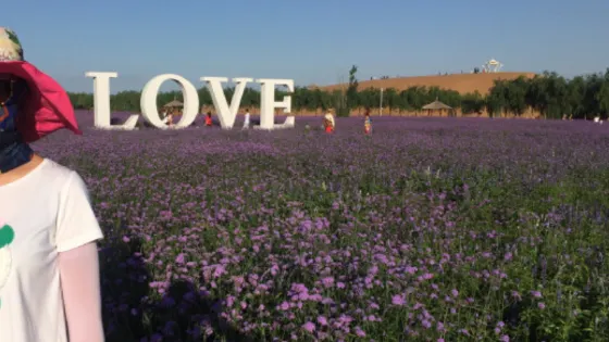 馬場湖生態旅遊區