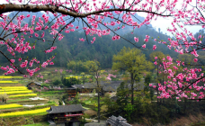 桥梁村-重庆-C-IMAGE