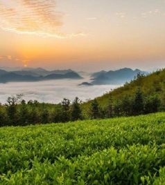马路镇游记图文-湖南湘中的隐藏仙境——安化云台山四时变化