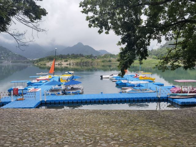 楠洋百草园旅行图片 3