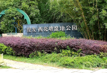 俊发西亮塘湿地公园景点图片