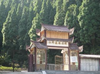 厦门周末游----小坪森林公园