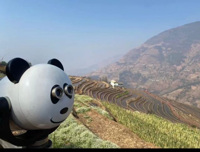新山梯田旅行图片 1