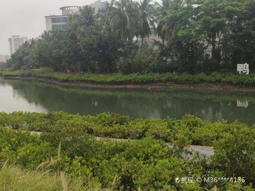 鸭尾溪湿地公园