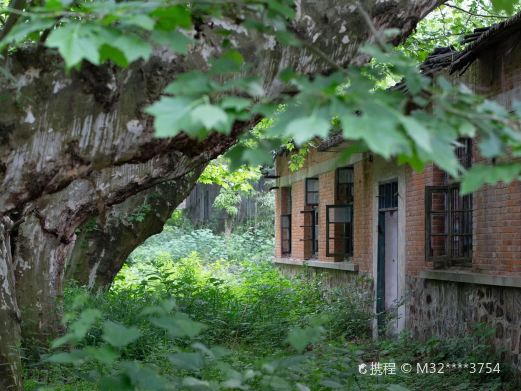 溧阳龙潭森林公园