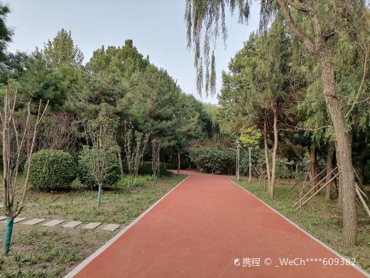 光明公园